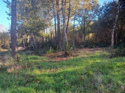 /international/fr/saint-sauveur-aquitaine-310106020934/