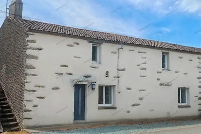 /international/fr/falleron-pays-de-la-loire-310099422651/