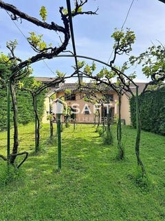/international/fr/sainte-foy-de-peyrolieres-midi-pyrenees-310107791497/