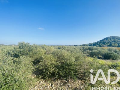 /international/fr/roquefort-des-corbieres-languedoc-roussillon-310107411573/