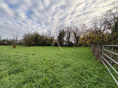 /international/fr/nalliers-pays-de-la-loire-310104462500/