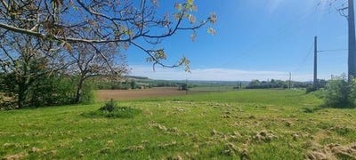 /international/fr/marignac-midi-pyrenees-310107447368/