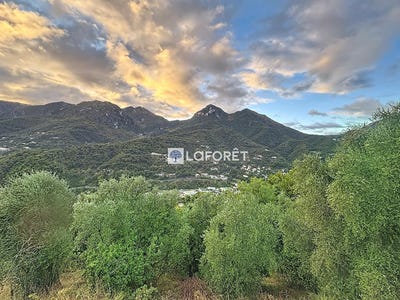/international/fr/castellar-provence-alpes-cote-d-azur-310103413155/