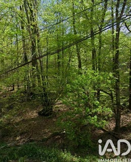 /international/fr/compreignac-limousin-310105534187/