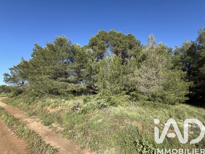 /international/fr/pinet-auvergne-310108670693/