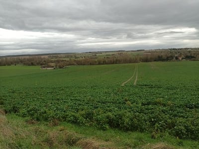 /international/fr/departement-indre-et-loire-bossee-centre-val-de-loire-310100911286/