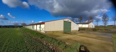/international/fr/callac-brittany-120096738821/