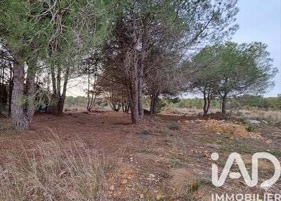 /international/fr/serignan-languedoc-roussillon-310108835544/