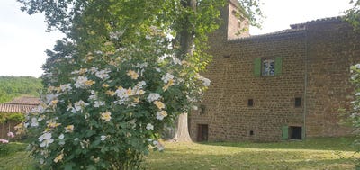 /international/fr/cordes-sur-ciel-midi-pyrenees-120060608249/