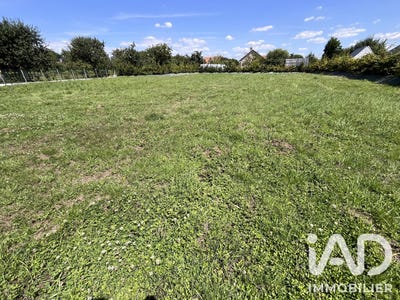 /international/fr/beuzeville-upper-normandy-310108989854/