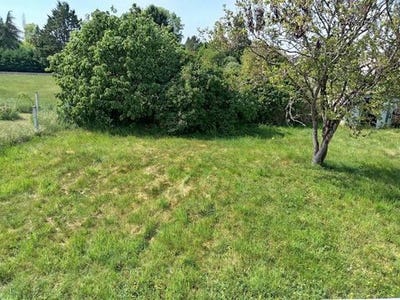 /international/fr/le-veurdre-auvergne-310107976970/