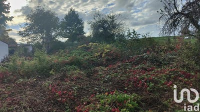 /international/fr/saint-maurice-thizouaille-burgundy-310106063089/