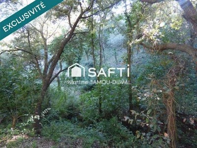 /international/fr/la-seyne-sur-mer-provence-alpes-cote-d-azur-310109799035/
