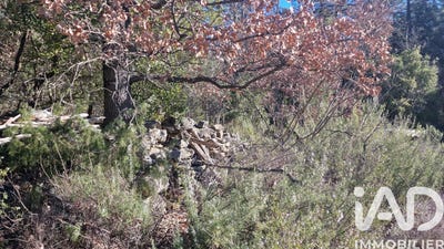 /international/fr/tourves-provence-alpes-cote-d-azur-310106593862/