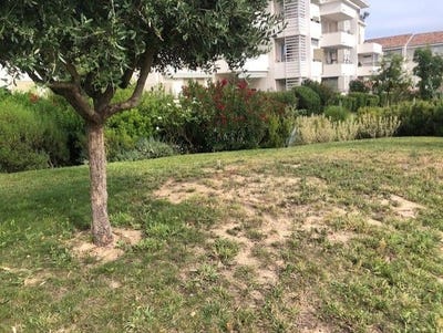 /international/fr/plan-de-cuques-provence-alpes-cote-d-azur-310101160056/?lang=zh-tw
