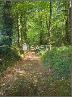 /international/fr/tinchebray-bocage-la-basse-normandie-310109127162/