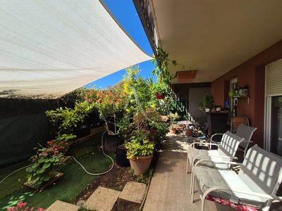 /international/fr/balaruc-les-bains-languedoc-roussillon-310104470899/