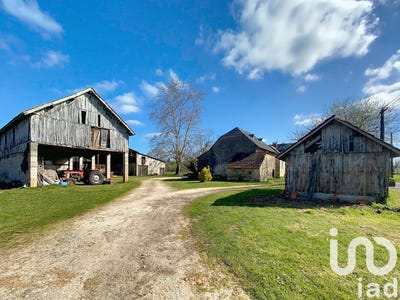 /international/fr/terrasson-lavilledieu-aquitaine-310098814239/