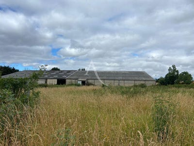 /international/fr/challans-pays-de-la-loire-310107675649/