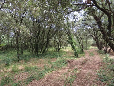 /international/fr/uzes-aquitaine-120095246877/