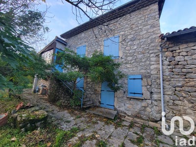 /international/fr/mayres-rhone-310106511613/