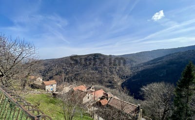/international/fr/vialas-languedoc-roussillon-310103090153/