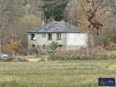 /international/fr/thalamy-limousin-310103494412/