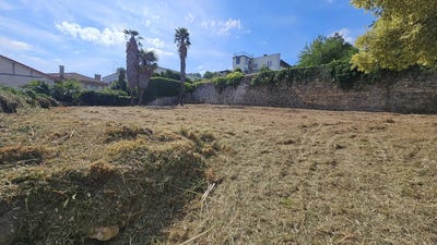 /international/fr/saint-gaudens-midi-pyrenees-310108564905/
