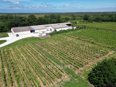 /international/fr/begadan-aquitaine-310098513534/?lang=en