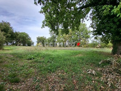 /international/fr/saint-paul-cap-de-joux-midi-pyrenees-310107275456/