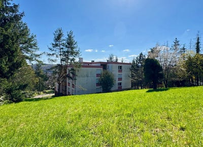 /international/fr/mutzig-alsace-310107520864/