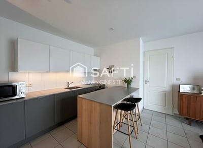 /international/fr/carcassonne-languedoc-roussillon-310105347759/