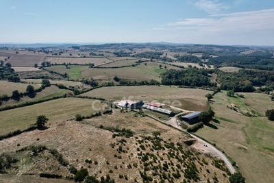 /international/fr/villeneuve-en-montagne-burgundy-120096085120/?lang=zh-tw