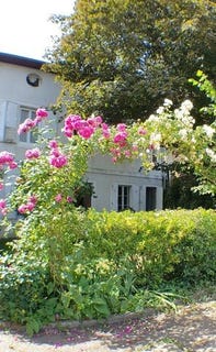 /international/fr/aixe-sur-vienne-limousin-310108649248/