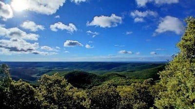 /international/fr/saint-chinian-languedoc-roussillon-310108054546/