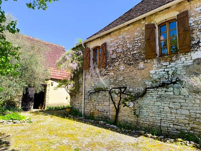 /international/fr/catus-midi-pyrenees-310104471076/