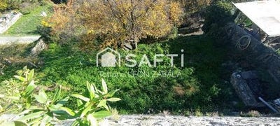 /international/fr/mosset-languedoc-roussillon-120096488220/?lang=it