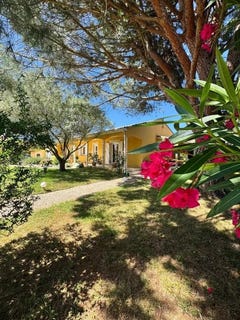 /international/fr/fonsorbes-midi-pyrenees-310108843602/