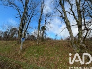 /international/fr/saint-martin-de-fressengeas-aquitaine-310105742995/