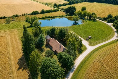 /international/fr/saint-martin-en-bresse-burgundy-310109906530/