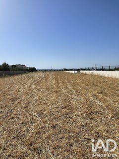 /international/fr/jonquieres-languedoc-roussillon-310109146839/
