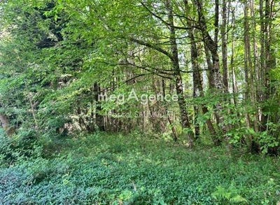 /international/fr/saint-leon-sur-l-isle-aquitaine-310103818900/
