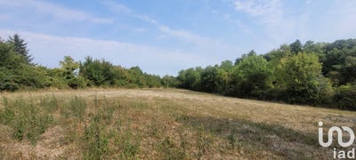 /international/fr/saint-loup-lamaire-charente-310101897803/