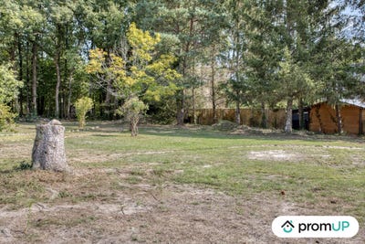 /international/fr/clere-les-pins-centre-val-de-loire-310103177444/