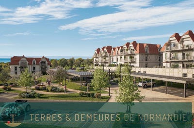 /international/fr/criel-sur-mer-upper-normandy-310101174725/