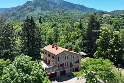 /international/fr/fuilla-languedoc-roussillon-310107558768/
