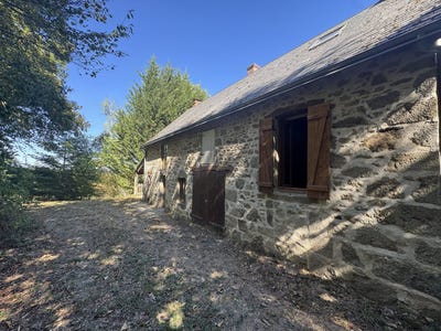 /international/fr/rougnat-limousin-310120049727/