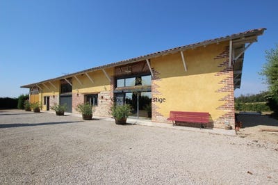 /international/fr/tournus-burgundy-310110055066/
