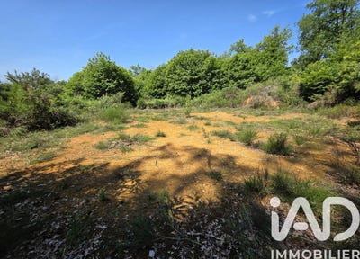 /international/fr/milhac-midi-pyrenees-310108401312/