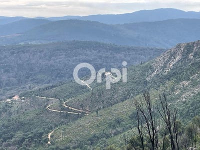 /international/fr/la-garde-freinet-provence-alpes-cote-d-azur-310104887520/